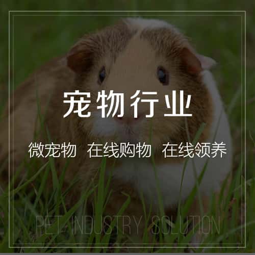长春宠物