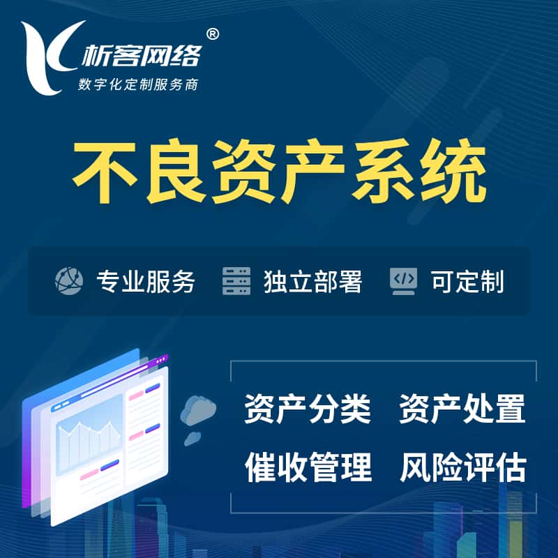 长春不良资产管理系统